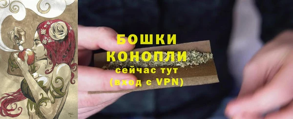 тгк Богородицк