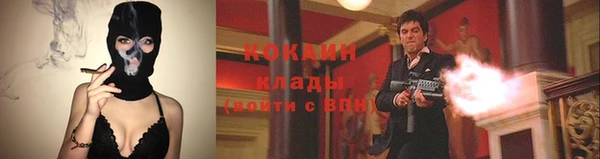 тгк Богородицк