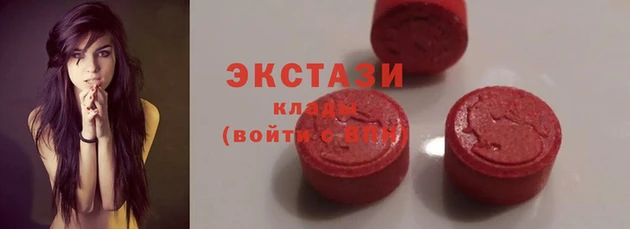 тгк Богородицк