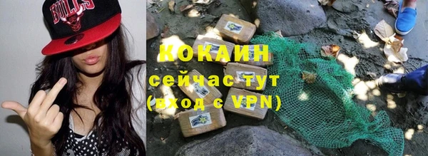 Альфа ПВП Богородск