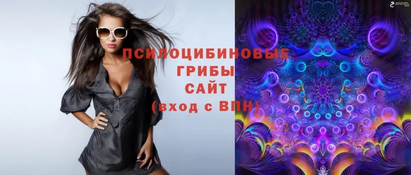 тгк Богородицк