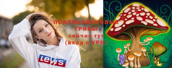 экстази Богданович