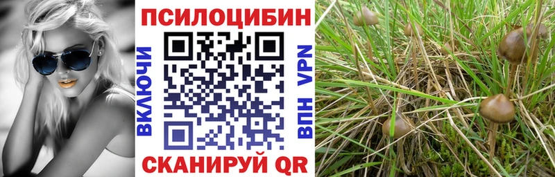 даркнет как зайти  купить закладку  Нерехта  Галлюциногенные грибы прущие грибы 